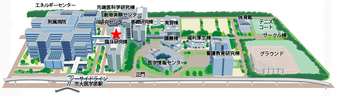 横浜市立大学 放射線治療学教室